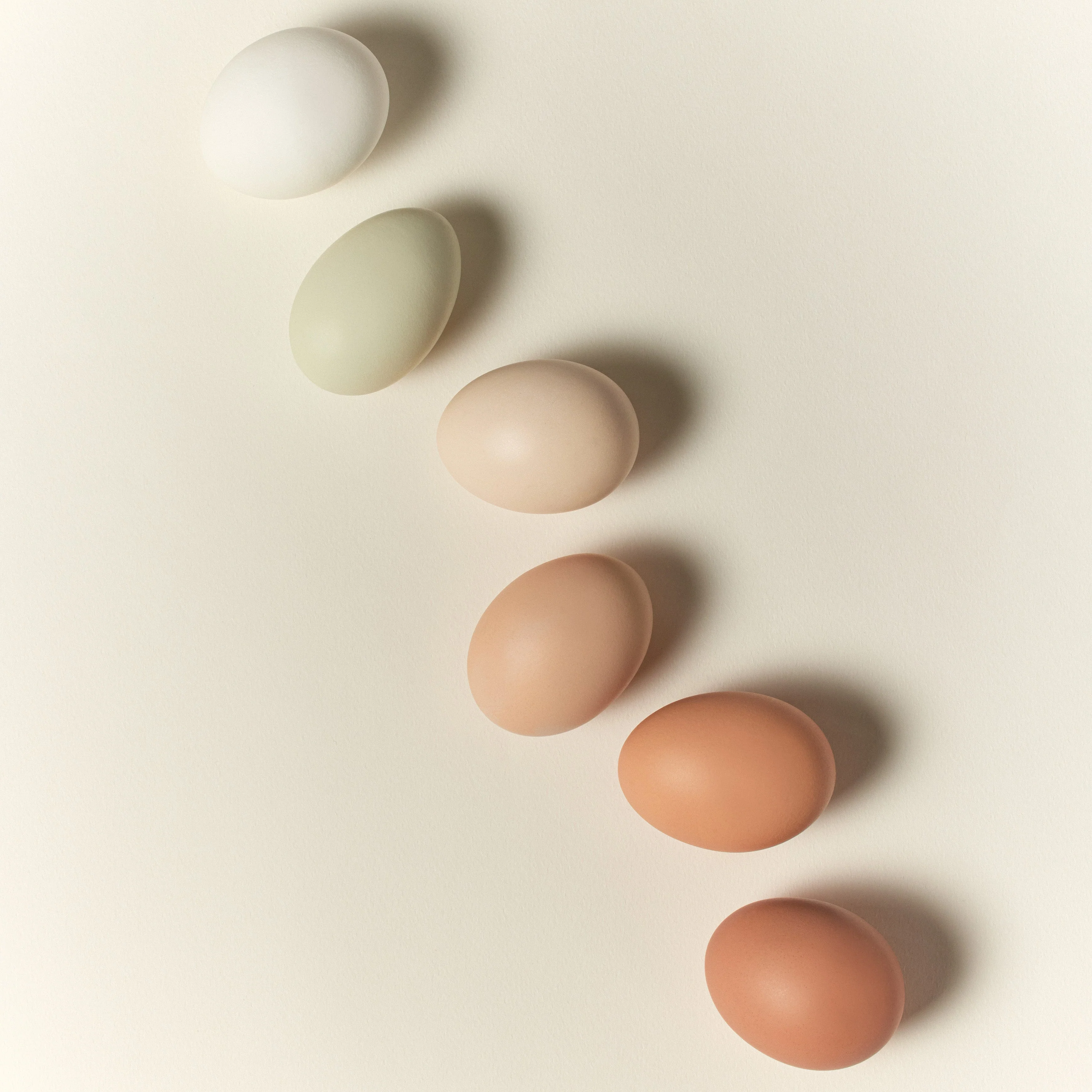 Dasique Pro Concealer Palette - Image 4