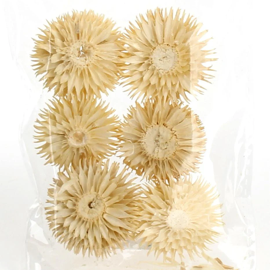 Decoration Parts (Wood/6Pcs) - Image 2