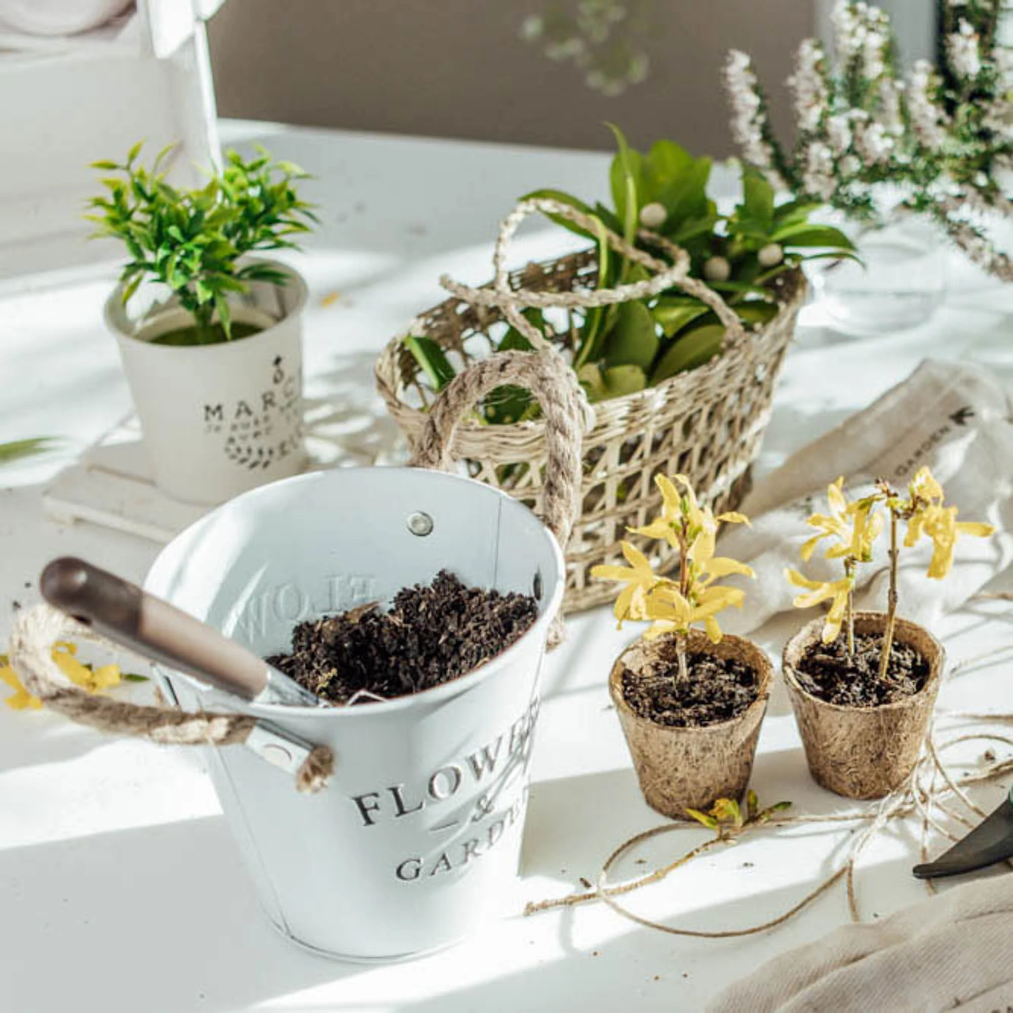 Flower Pot (WT/8x7.5cm) - Image 3