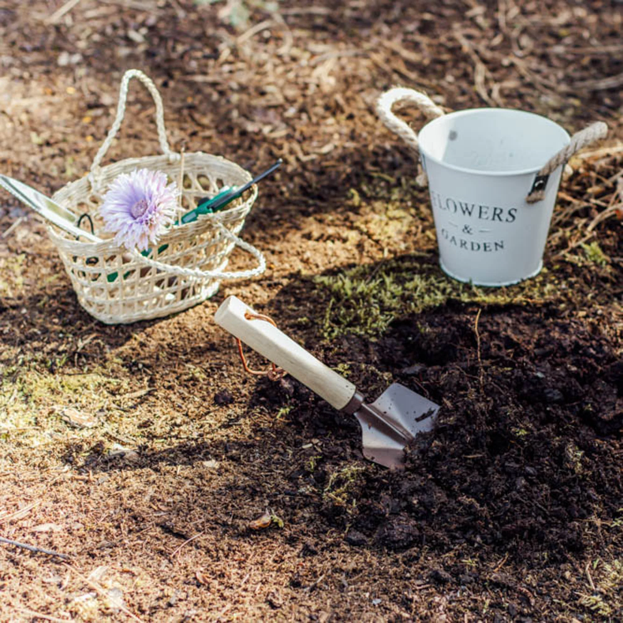 Garden Bucket - Image 8