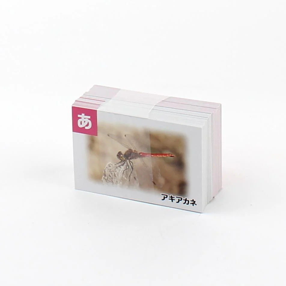 Japanese Playing Cards (Paper/Karuta/Matching Game/Insects/5x7.5cm (100pcs)) - Image 4