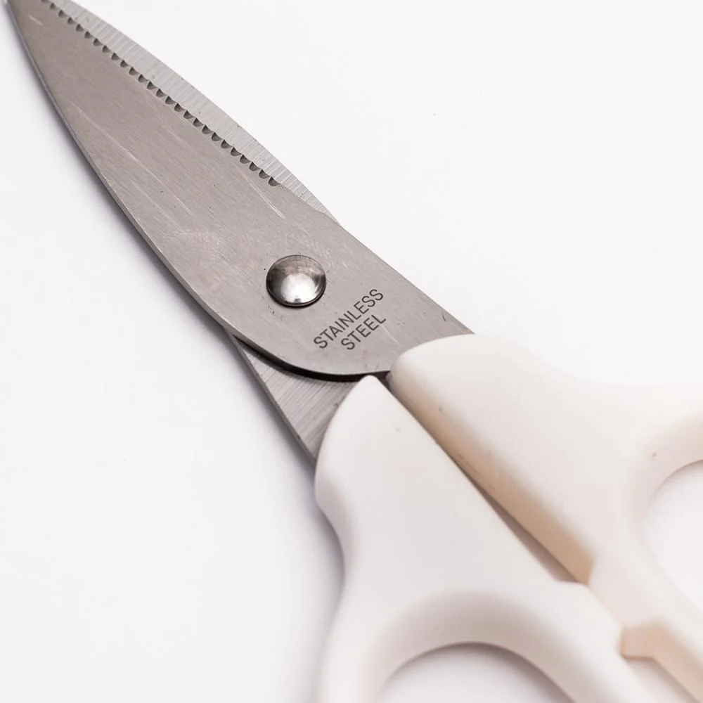 Kitchen Scissors for Kids with Cover - Image 6