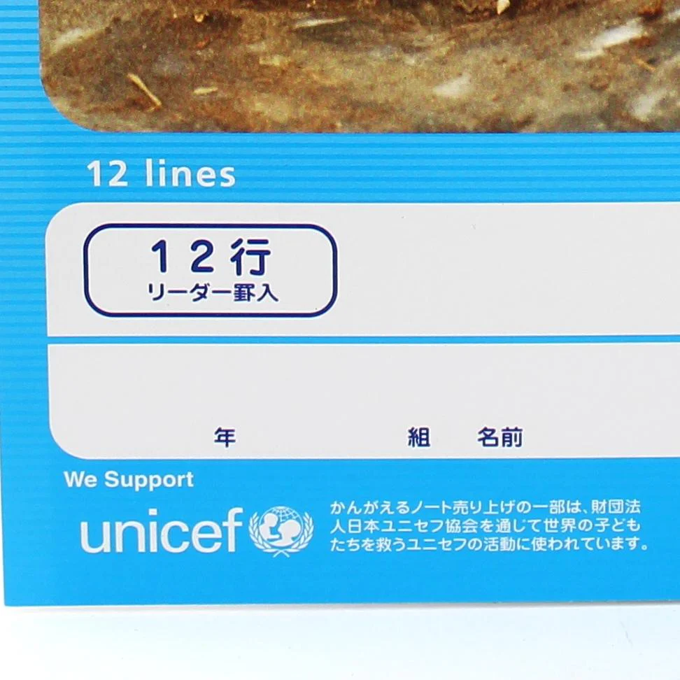 B5 12-Lines Notebook (30 pages) - Image 3