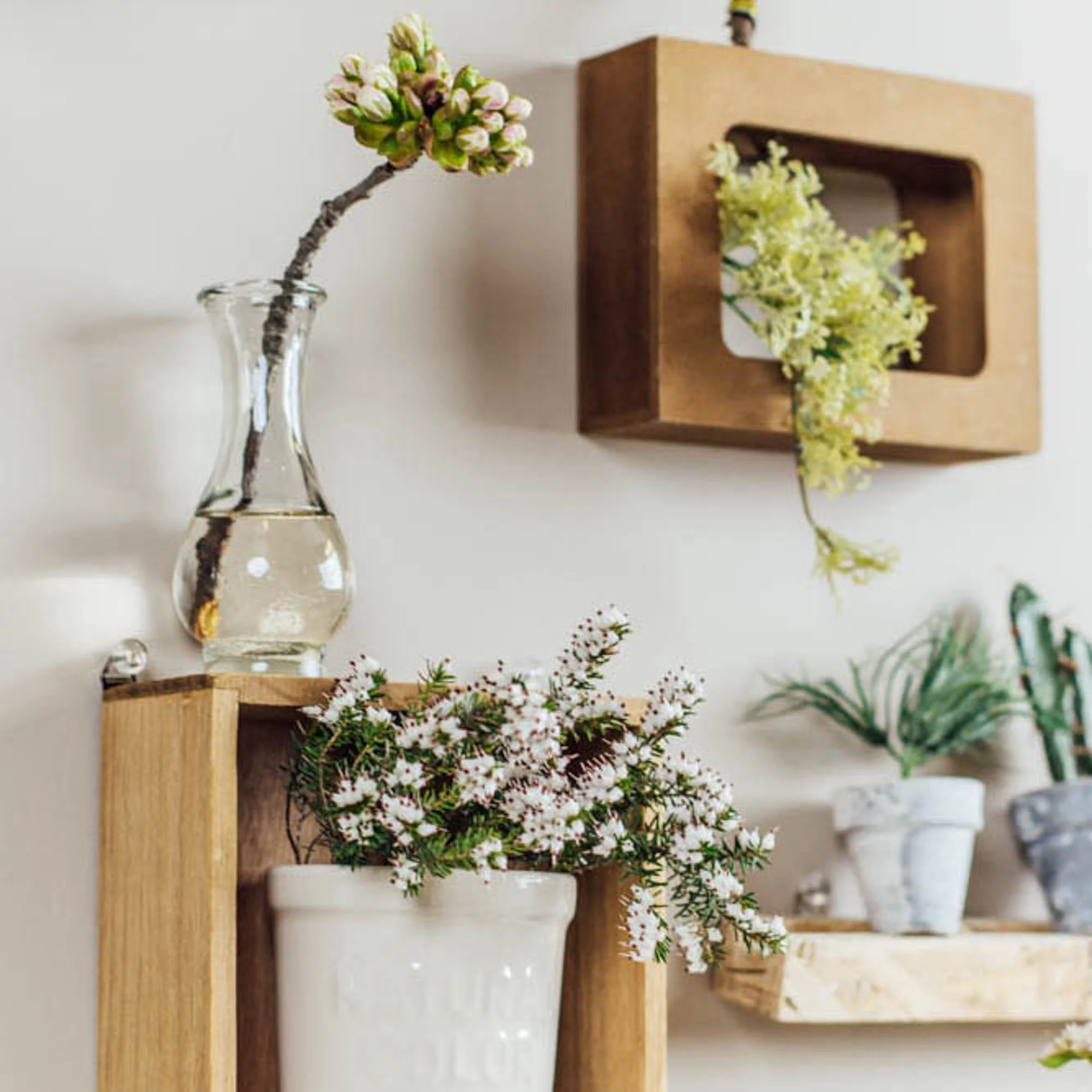 Wall Planter (4.3x14.4x11.4cm) - Image 4