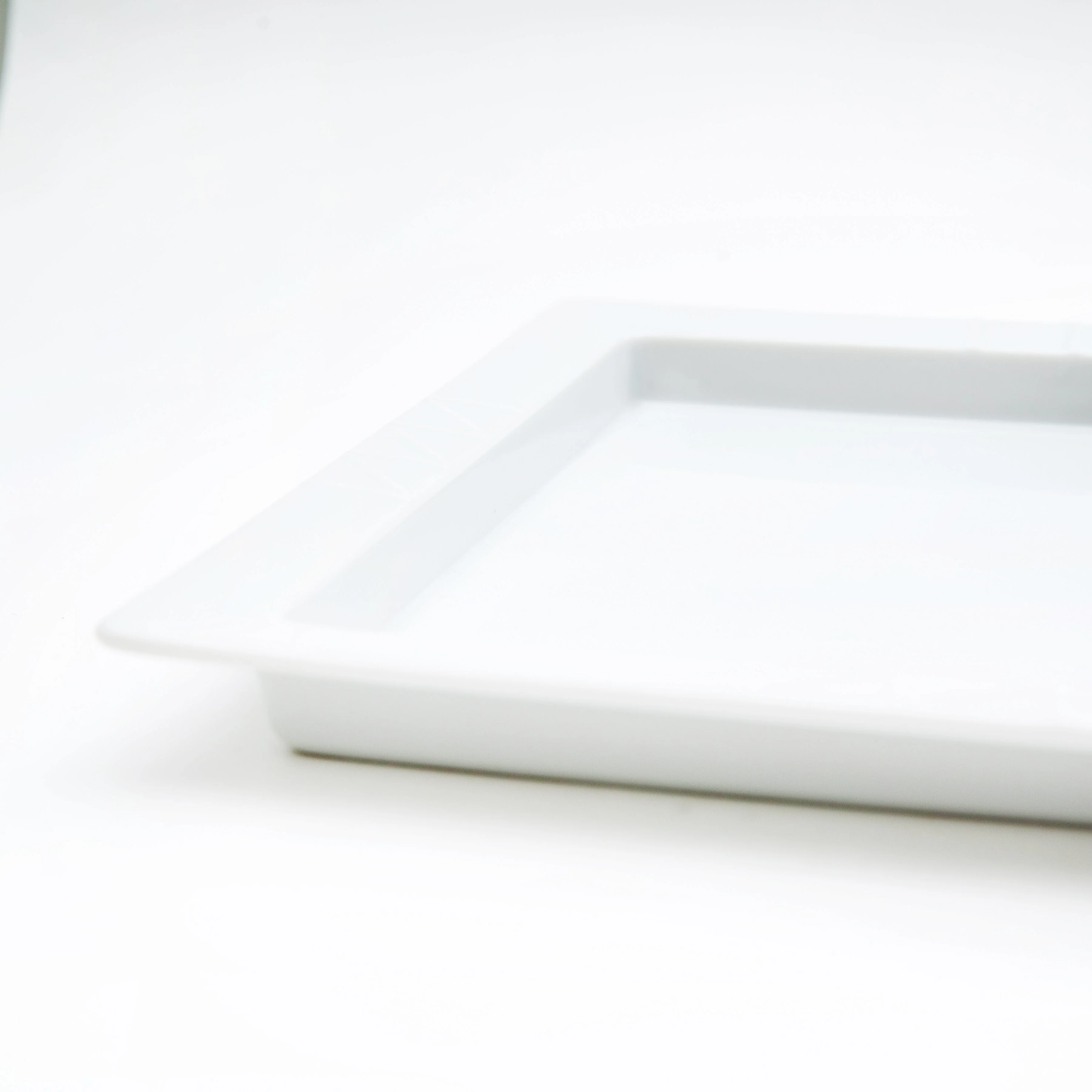 Large Rectangular Rim Porcelain Plate - Image 3