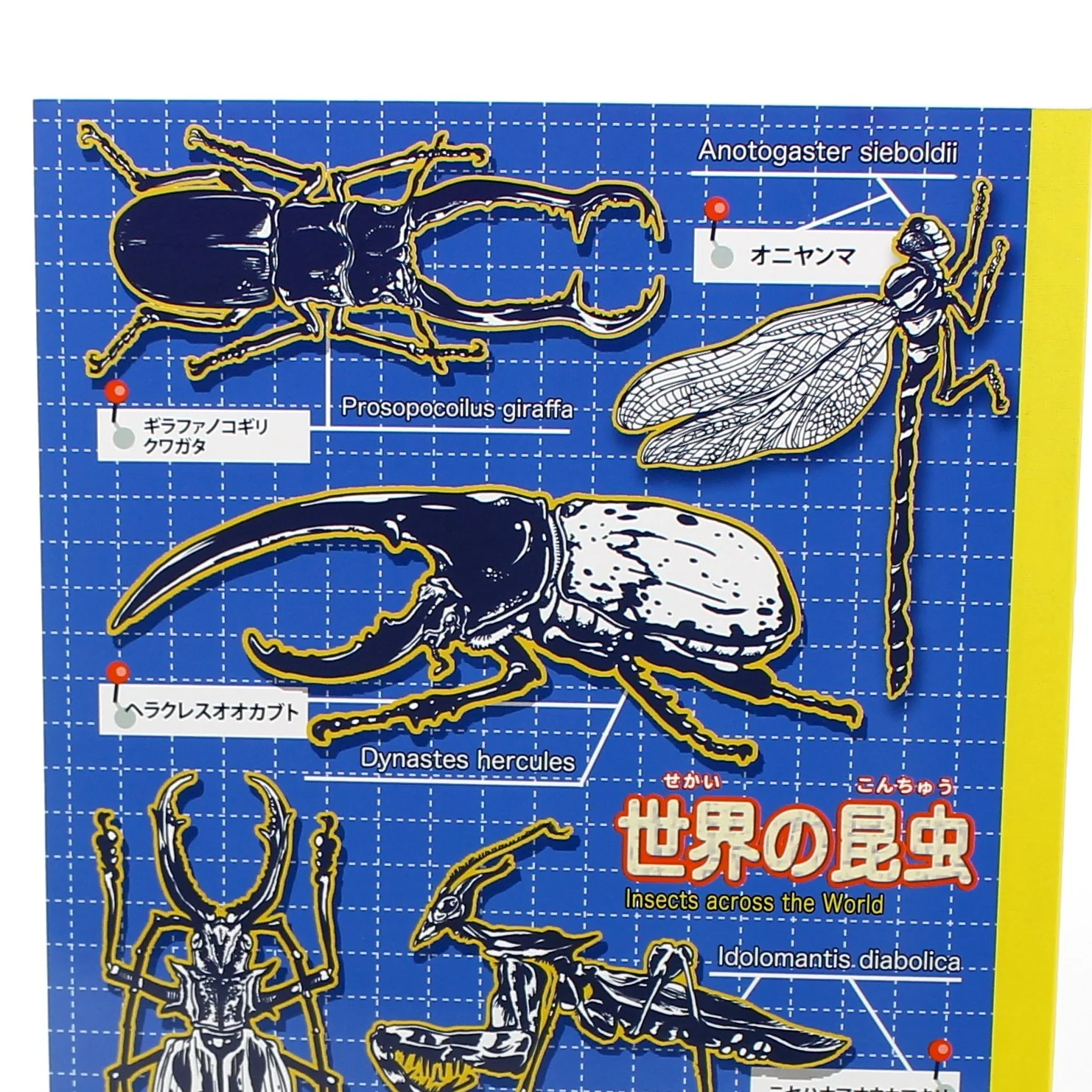 B5 Sketchbook (Insect* Dinosaur (30sh)) - Image 2