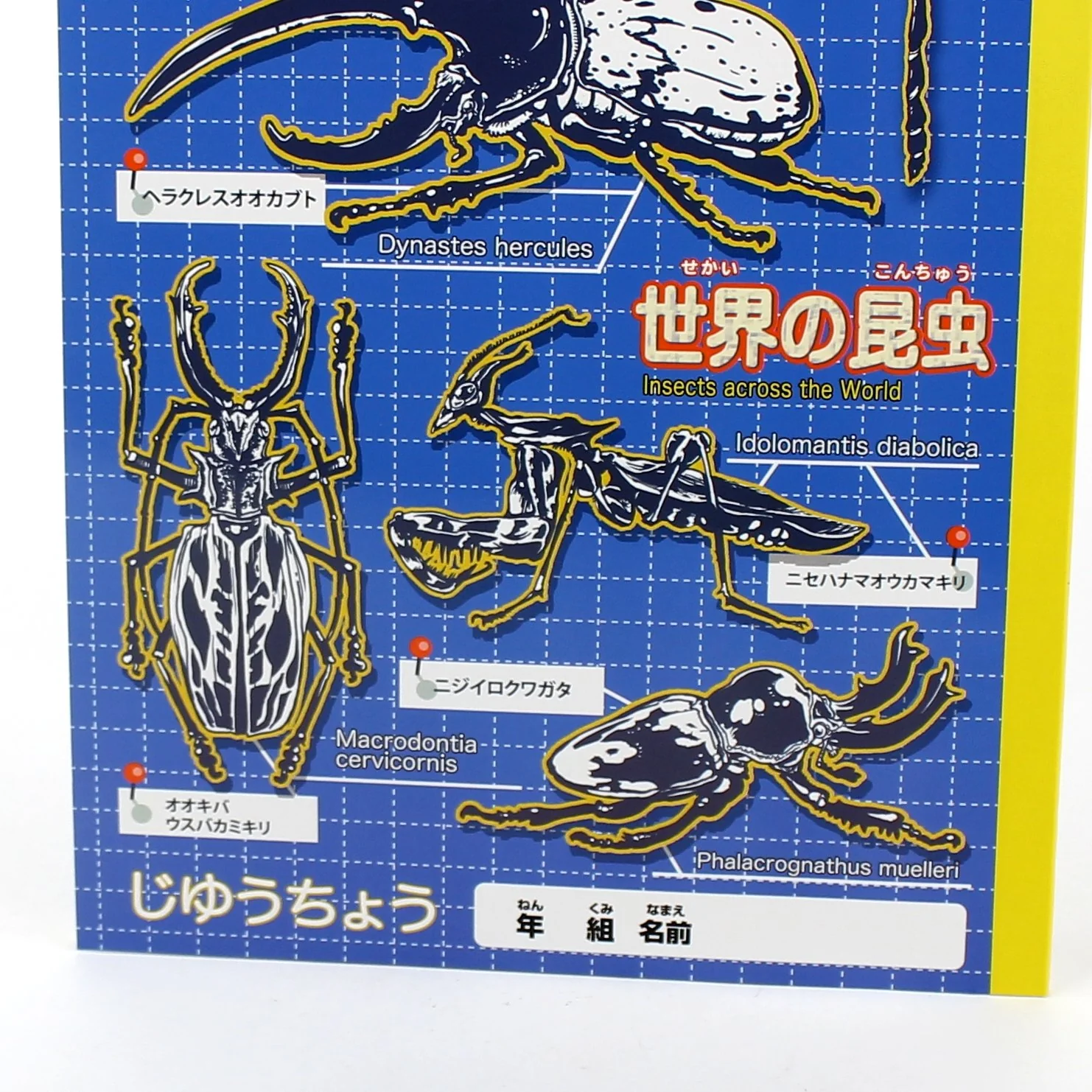 B5 Sketchbook (Insect* Dinosaur (30sh)) - Image 3