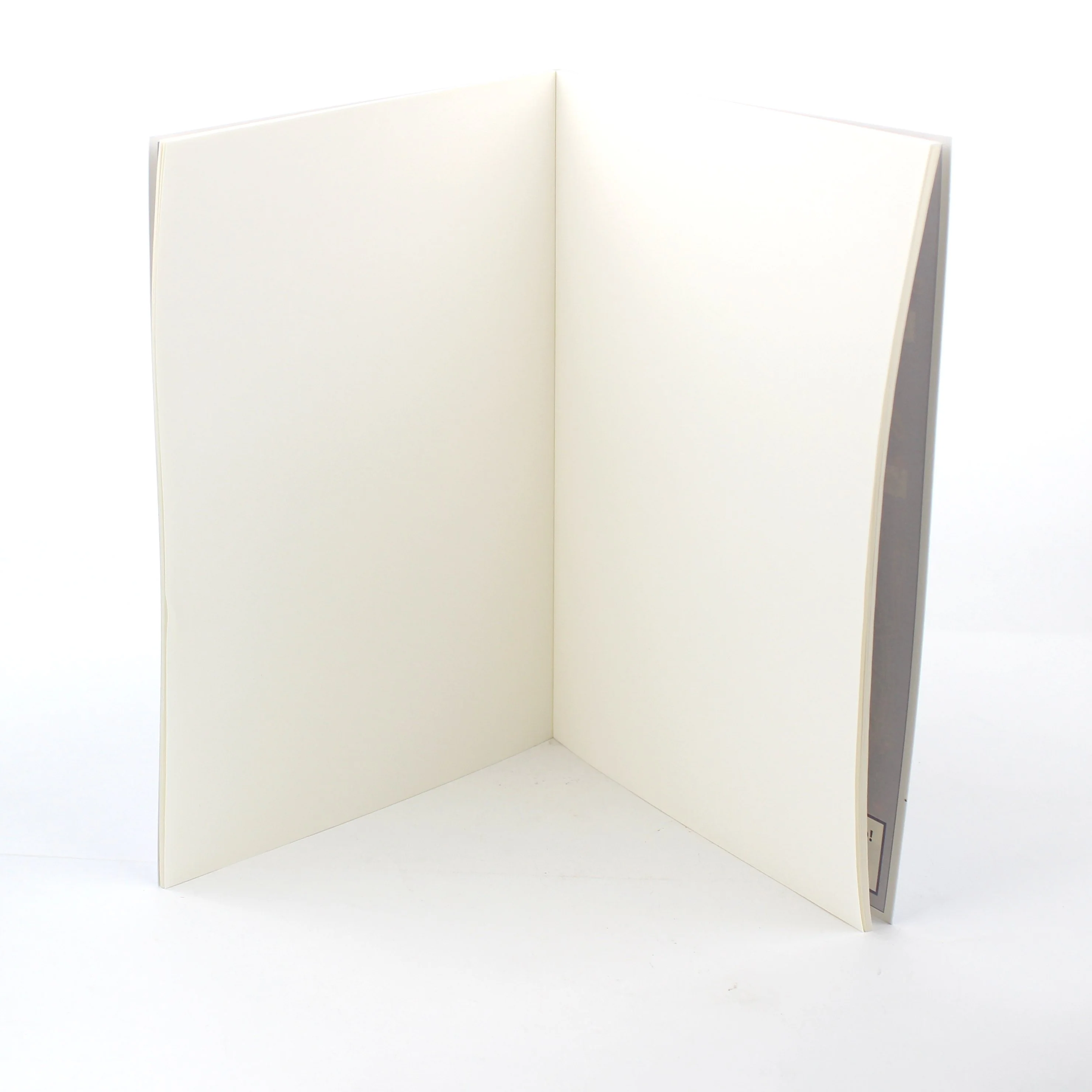 B5 Sketchbook (Insect* Dinosaur (30sh)) - Image 5