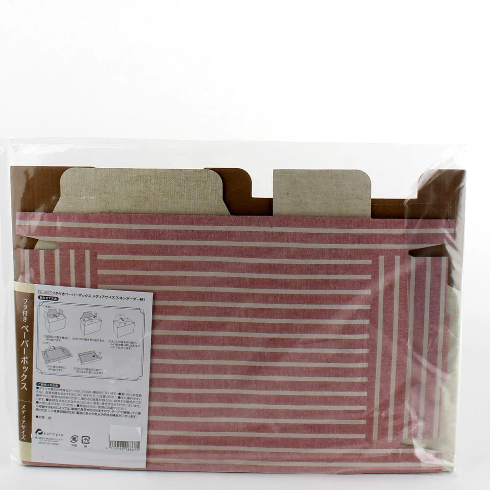 Storage Box - Paper with Lid (Paper/CD&DVD/Stripes/RD*BL) - Image 2