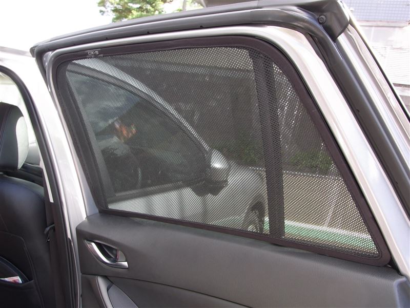 Sunshade (BK) - Image 11
